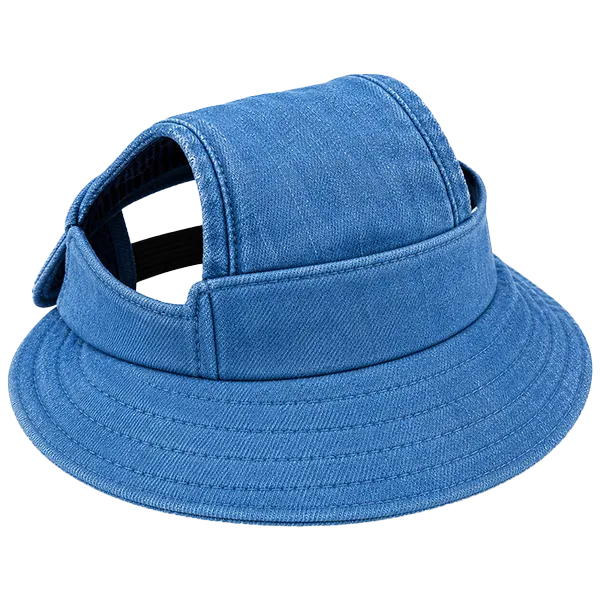 Gorra para perro